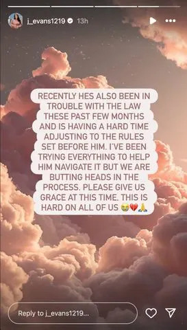 Jenelle Evans/Instagram Jenelle Evans' second post on her Instagram Stories